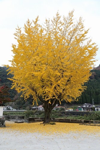 西浄寺10