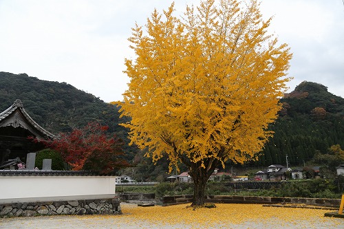 西浄寺1