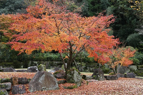 渓石園4