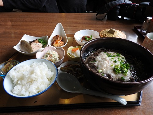 さくら茶屋2