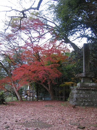 富貴寺5