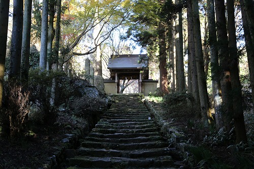 両子寺参道1