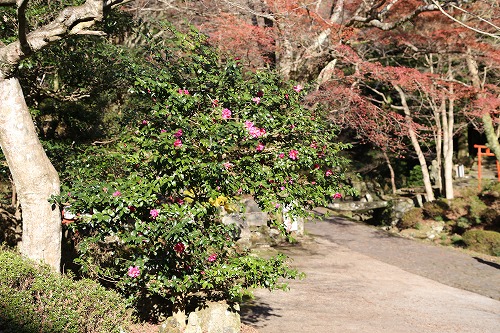 両子寺鐘楼5