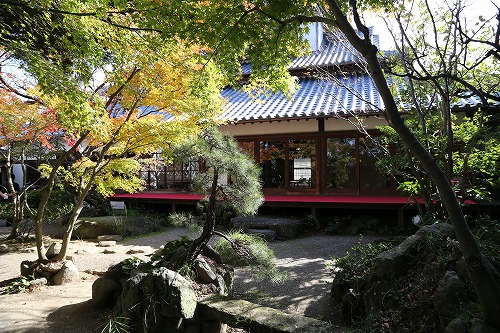 涛音寮の庭1