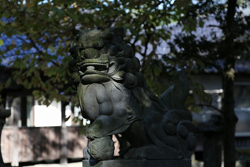 櫛来社7