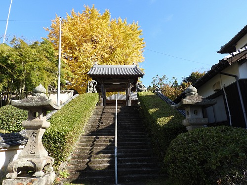 胎蔵寺2