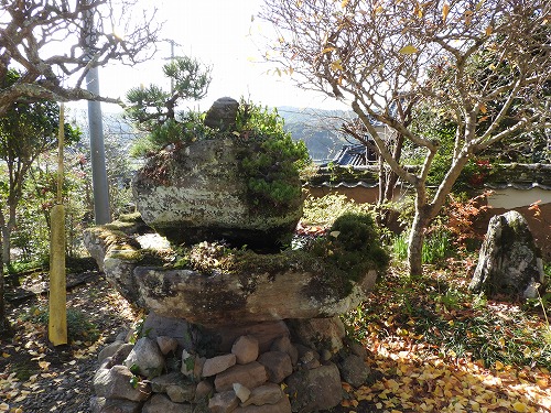 胎蔵寺13