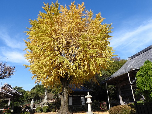 胎蔵寺7
