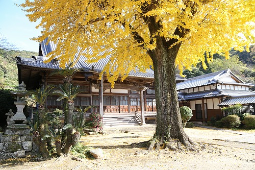 胎蔵寺4
