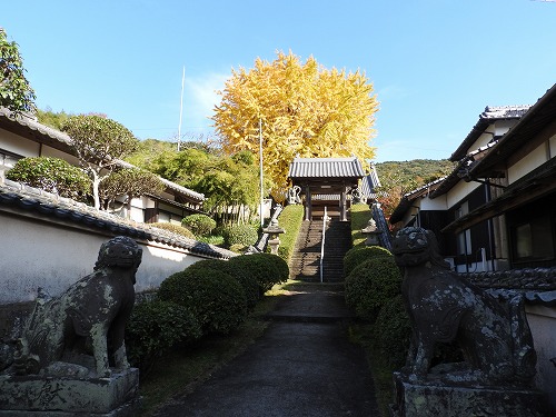 胎蔵寺の狛犬10