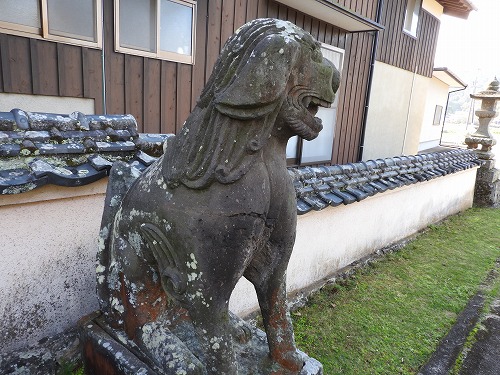 胎蔵寺の狛犬8