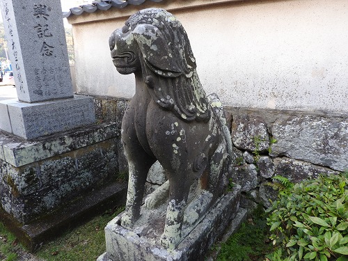 胎蔵寺の狛犬9
