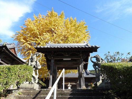 胎蔵寺の仁王像11