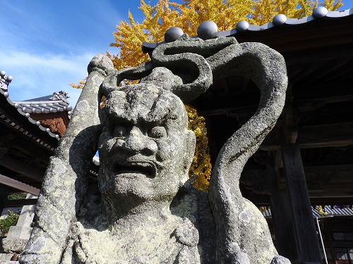 胎蔵寺の仁王像4