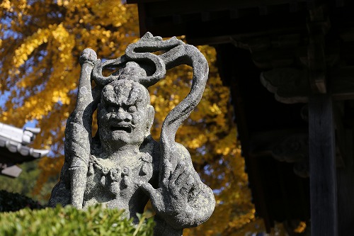 胎蔵寺の仁王像8