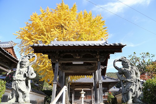 胎蔵寺の仁王像1