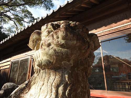 桜八幡神社の狛犬6