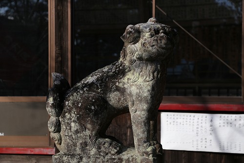 桜八幡神社の狛犬2