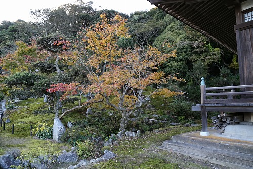 安国寺寺苑5