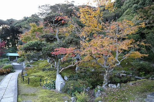 安国寺寺苑6