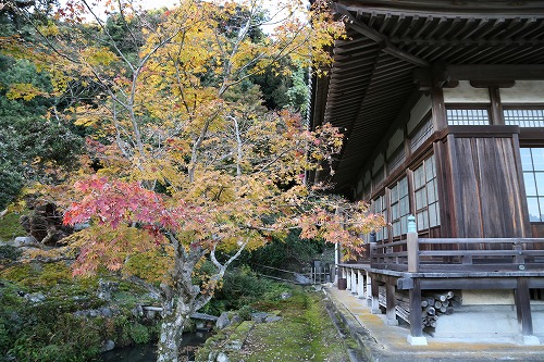 安国寺寺苑1