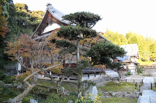 安国寺寺苑2