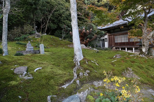 安国寺寺苑7