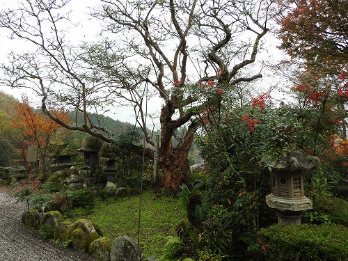 瑠璃光寺11