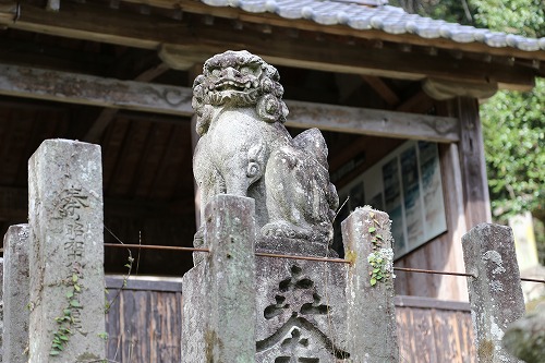 身濯神社の狛犬10