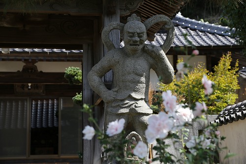 清臺寺5