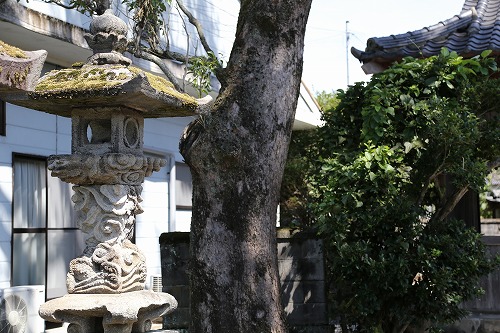 金毘羅神社11