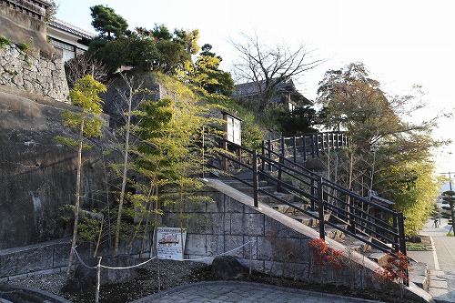 岩鼻の坂3