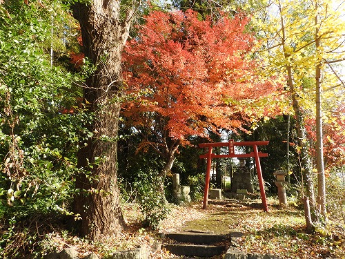 豊川稲荷2