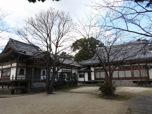 養国寺11