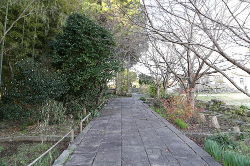 養徳寺1