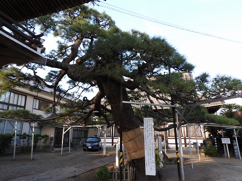 海門寺11
