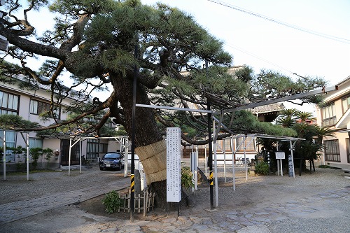 海門寺8