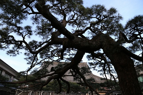 海門寺9