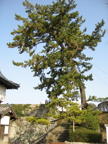 佐賀城24