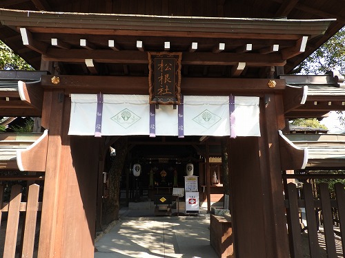 松根社3