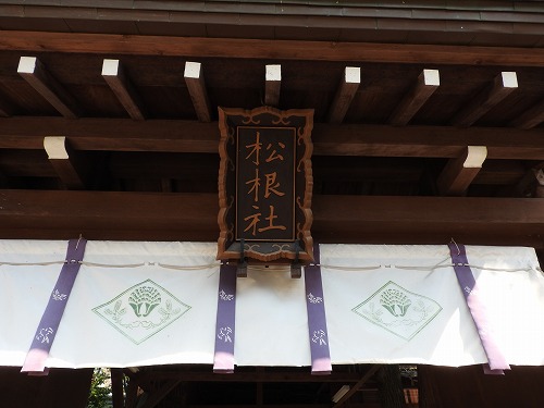 松根社4
