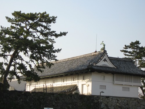 鯱の門8