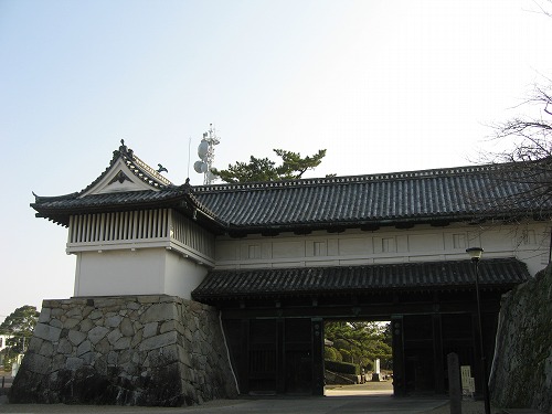 鯱の門6