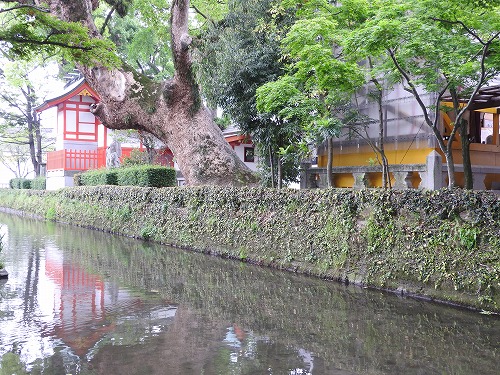 松原稲荷神社10