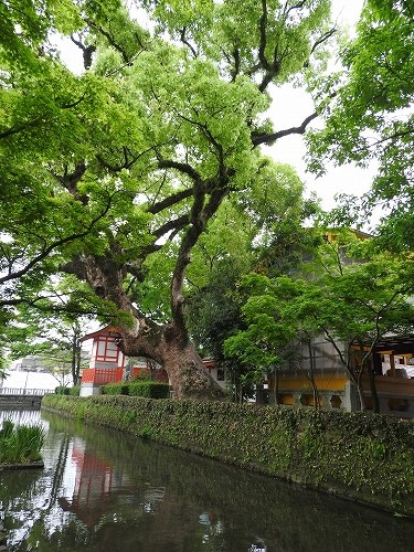 松原稲荷神社14