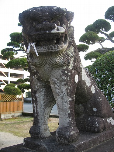 佐賀八幡宮7