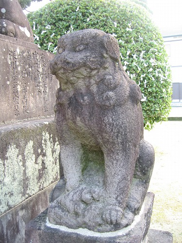 佐賀八幡宮11
