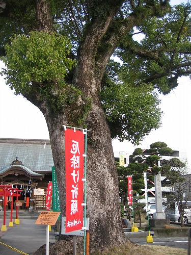 龍造寺八幡宮5