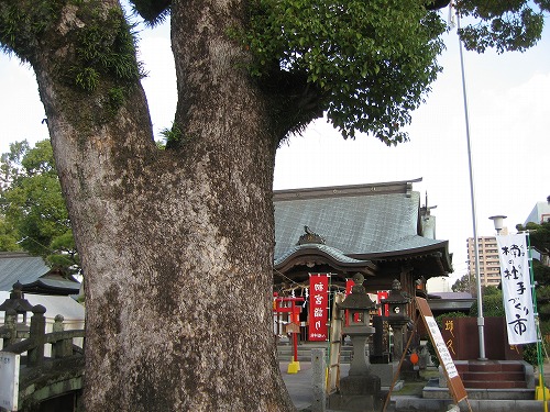 龍造寺八幡宮2