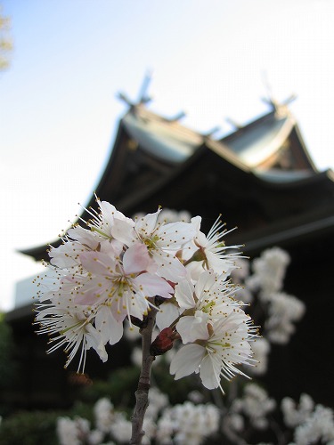 龍造寺八幡宮13